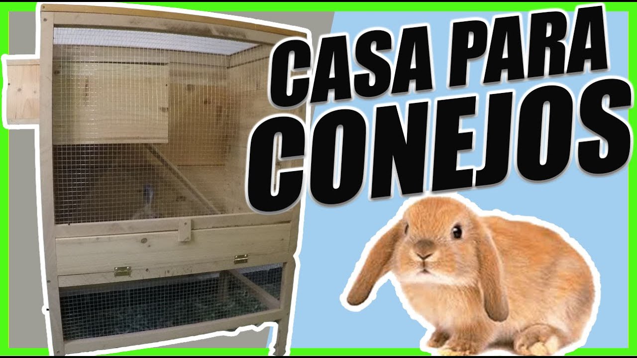 Descubre las bonitas casas para conejos en el interior: ¡ideal para tu mascota!