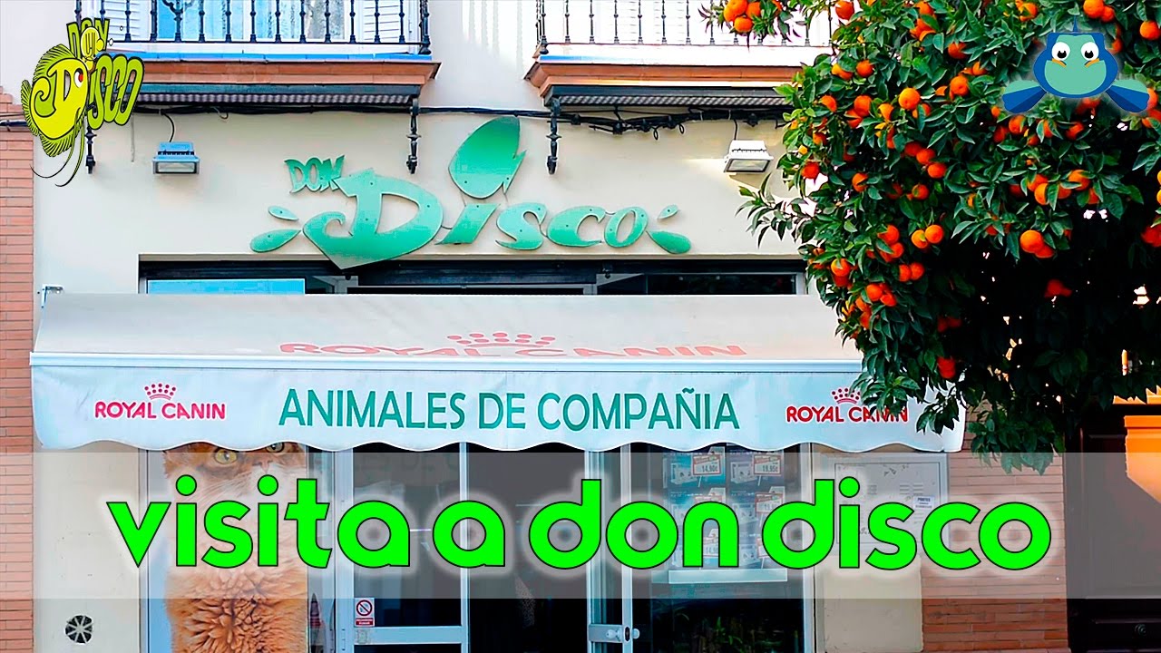 Nueva tienda de peces en Sevilla: la pasión acuática llega a tu ciudad