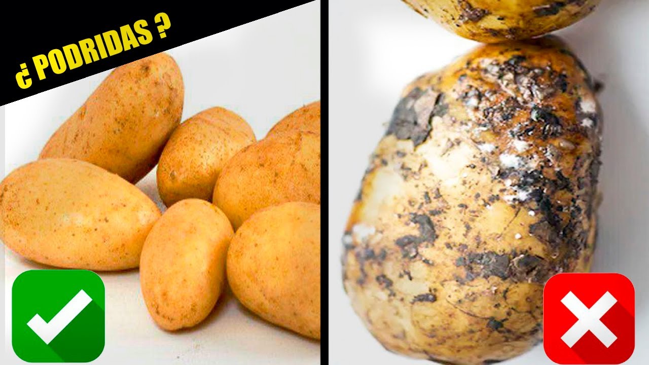 ¿Cómo saber si una patata está podrida? Consejos prácticos para evitar intoxicaciones