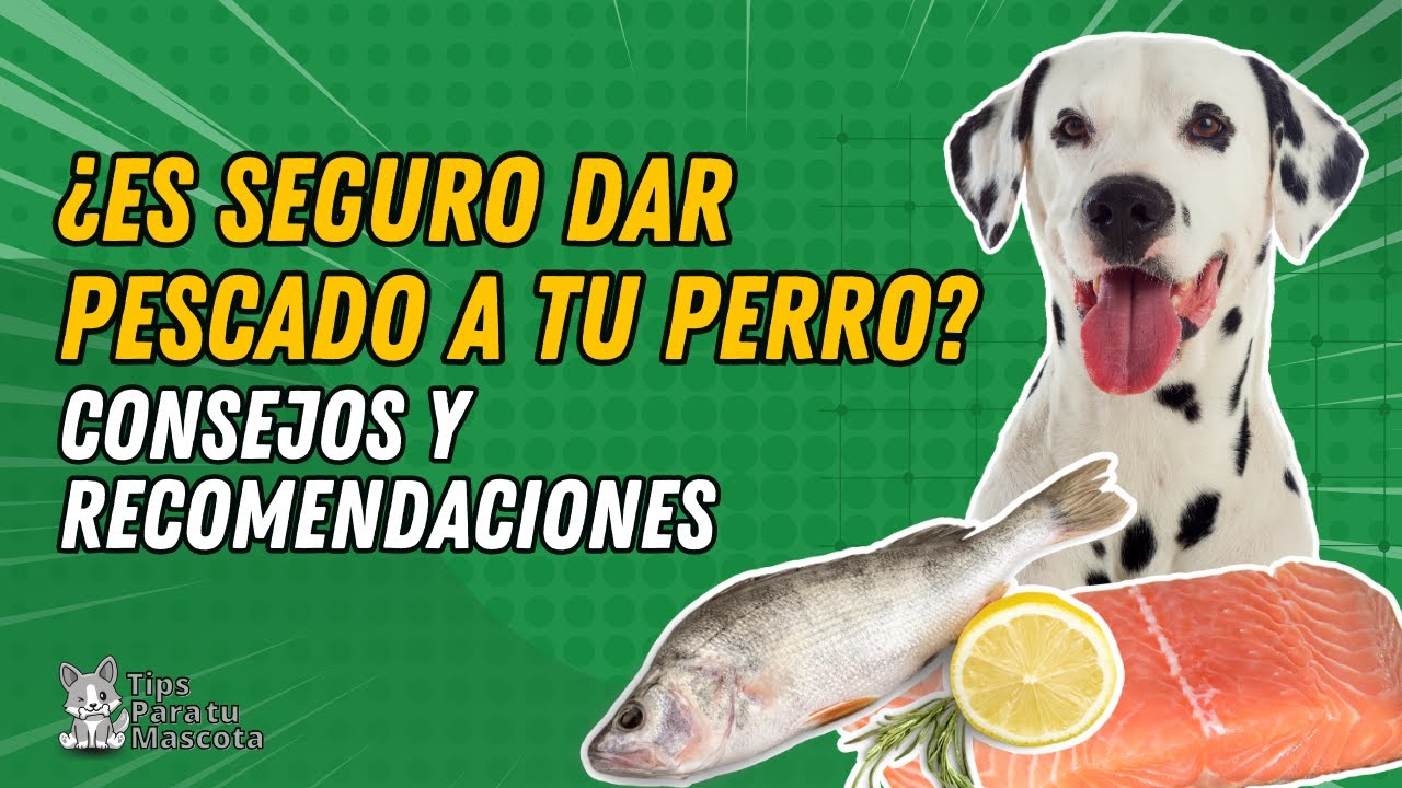 Revelado: ¿Es seguro dar pescado a los perros?
