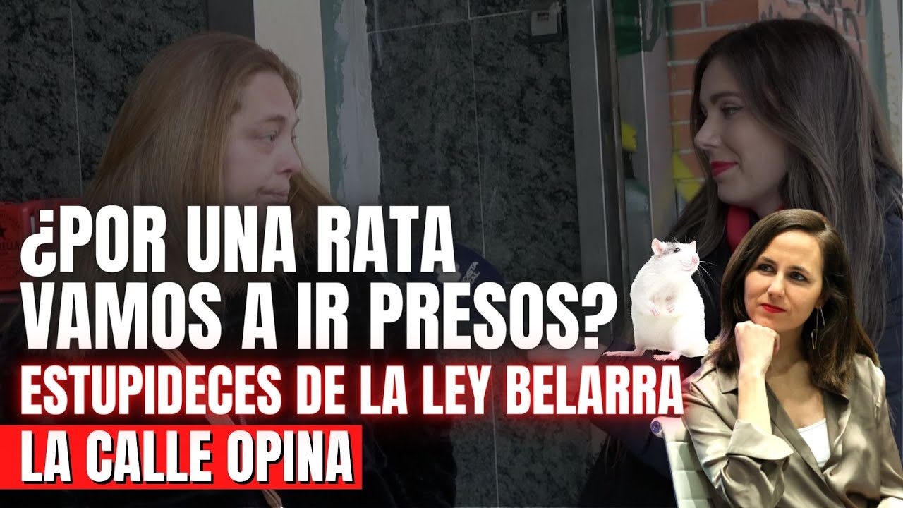 ¡La ley de las ratas en España: ¿un problema nacional?