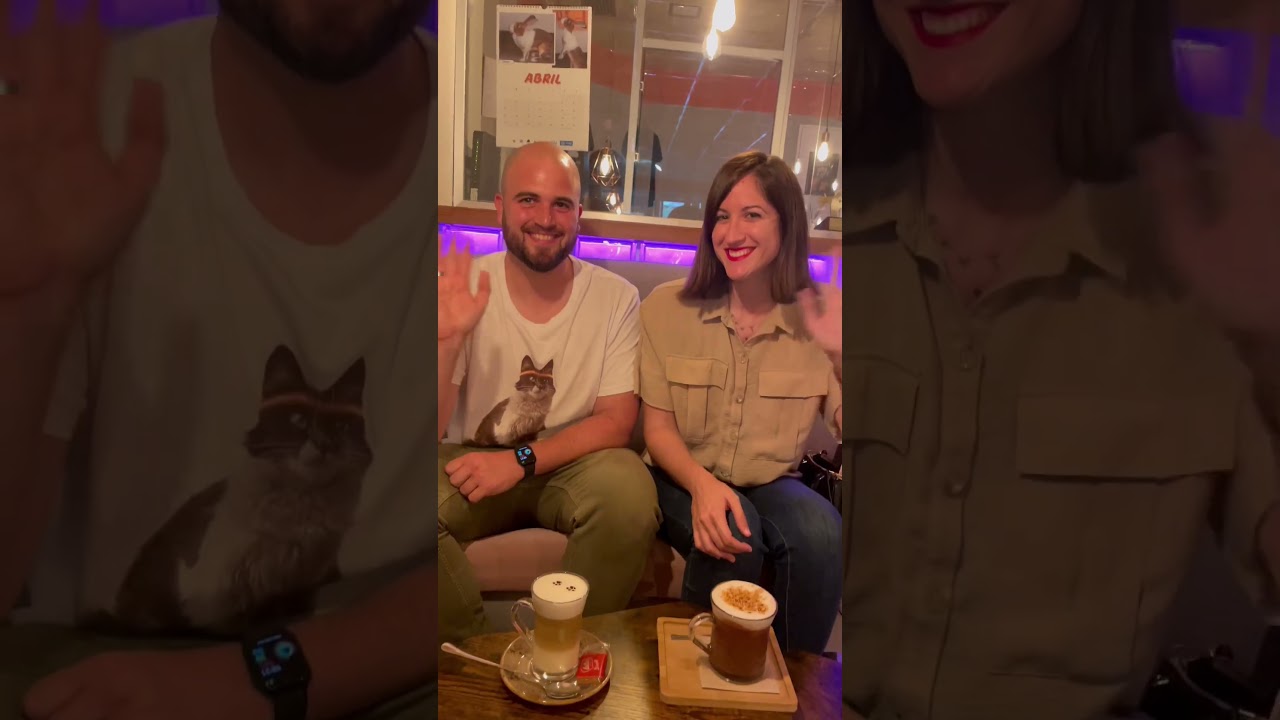 Descubre la gatera: el café de los amantes de los felinos